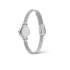Daniel Wellington Petite Mini Sterling
